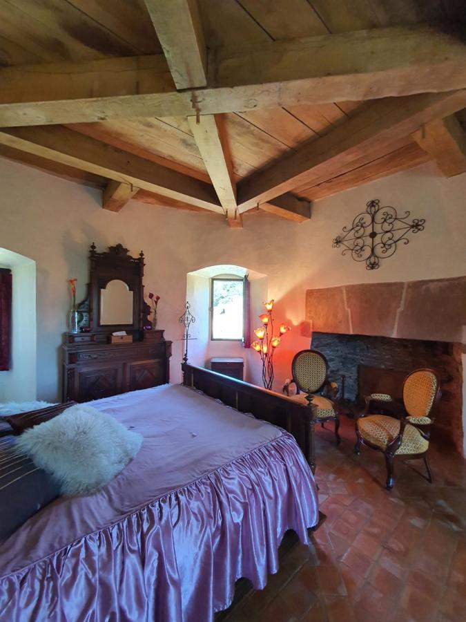 Chambre d'Hôtes au Château de Belcastel Belcastel (Aveyron) Exterior foto