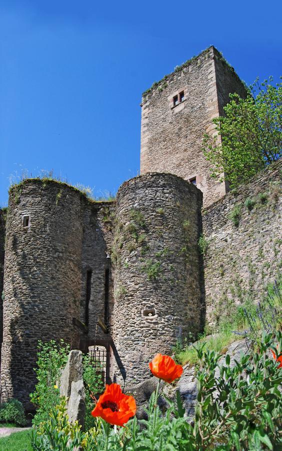 Chambre d'Hôtes au Château de Belcastel Belcastel (Aveyron) Exterior foto